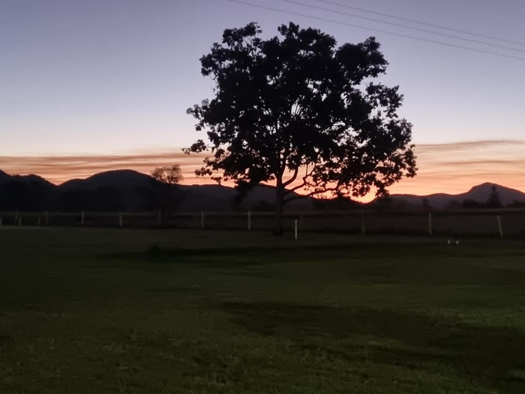 Koorawatha Homestead Motel Bororen エクステリア 写真